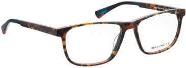 Bellinger RAPTOR glasses in Brown