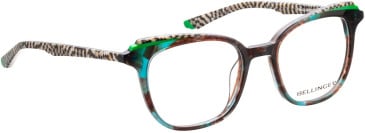 Bellinger PAVO-2 glasses in Green