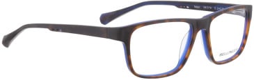 Bellinger MAJOR glasses in Matt Brown