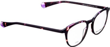 Bellinger LESS-ACE-2044 glasses in Brown