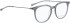 Bellinger LESS1831 glasses in Grey Transparent