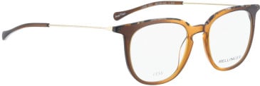 Bellinger LESS1831 glasses in Brown Transparent