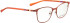 Bellinger LEGACY-6115 glasses in Orange
