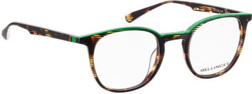 Bellinger FOX glasses in Brown/Green