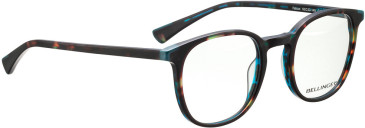 Bellinger FALCON glasses in Brown