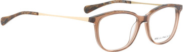 Bellinger EDO-145 glasses in Brown Transparent