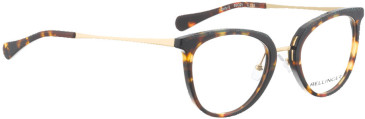 Bellinger DEFY-2-135 glasses in Dark Havana