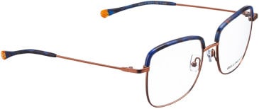 Bellinger CROWN-6 glasses in Blue-Copper