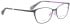 Bellinger CHIC glasses in Grey