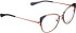 Bellinger ARC-X3 glasses in Grey Transparent