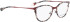 Bellinger ARC-4 glasses in Purple