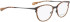 Bellinger ARC-4 glasses in Brown