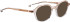 Entourage Of 7 ZETA sunglasses in Brown/Clear