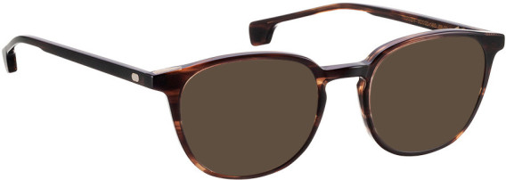 Entourage Of 7 WILLOW sunglasses in Brown