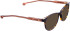 Entourage Of 7 RAELYNN sunglasses in Brown Pattern