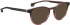 Entourage Of 7 PIXIE sunglasses in Brown