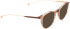 Entourage Of 7 PIPER sunglasses in Brown
