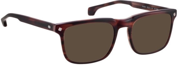 Entourage Of 7 MATTEO sunglasses in Brown