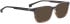 Entourage Of 7 LIAM sunglasses in Brown Pattern