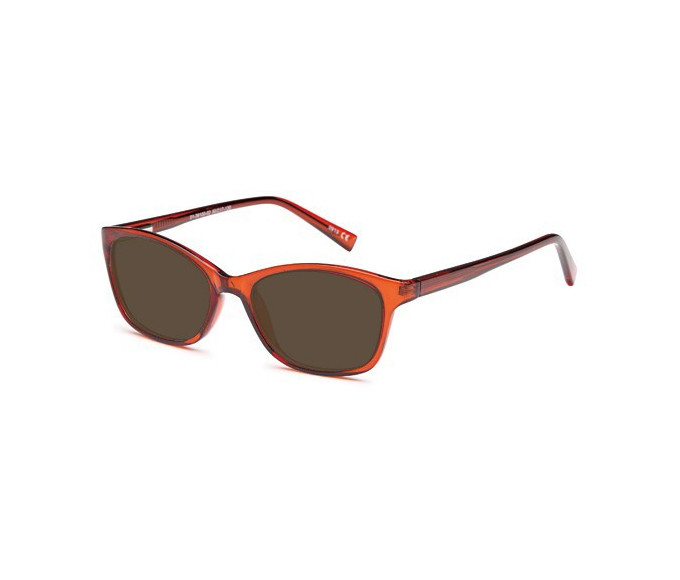 SFE reading sunglasses in Brown