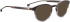 Entourage Of 7 KANE sunglasses in Brown