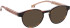 Entourage Of 7 ISLA sunglasses in Brown