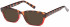 SFE reading sunglasses in Brown/Red