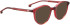 Entourage Of 7 HARLOW sunglasses in Red
