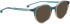 Entourage Of 7 HARLOW sunglasses in Blue
