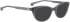 Entourage Of 7 FINLEY sunglasses in Grey