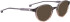 Entourage Of 7 DIANA sunglasses in Brown