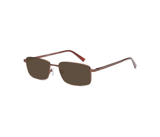 SFE reading sunglasses in Bronze