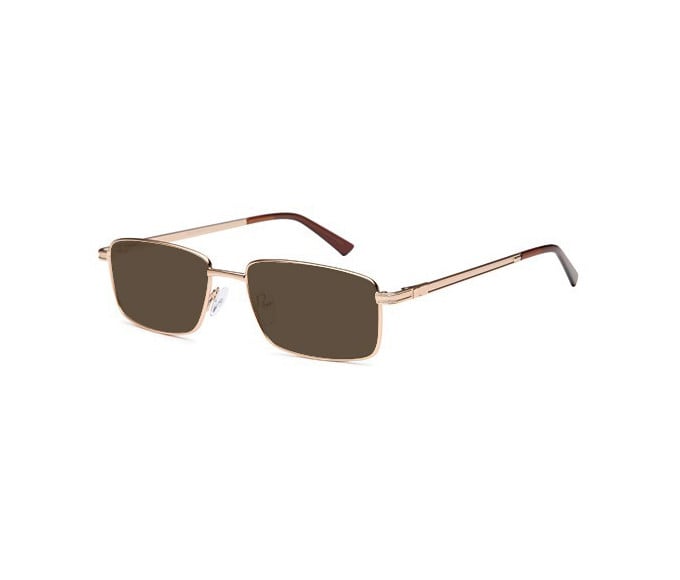 SFE reading sunglasses in Gold