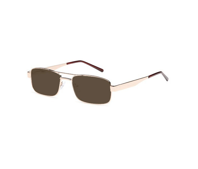 SFE reading sunglasses in Gold