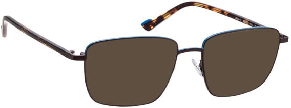 Bellinger WIRE-7 sunglasses in Brown