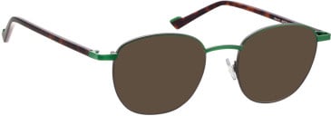 Bellinger WIRE-6 sunglasses in Green