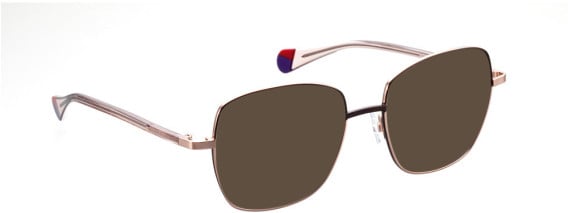 Bellinger WIRE-5 sunglasses in Brown