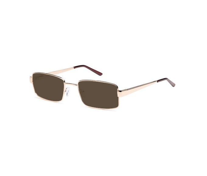 SFE reading sunglasses in Gold