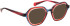 Bellinger TWICE-2 sunglasses in Brown