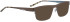 Bellinger TRACKS sunglasses in Brown