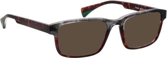 Bellinger TOMCAT sunglasses in Grey