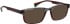 Bellinger TOMCAT sunglasses in Grey