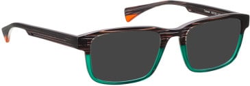 Bellinger TOMCAT sunglasses in Brown