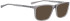 Bellinger TALL sunglasses in Grey Transparent