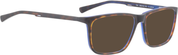 Bellinger TALL sunglasses in Tortoise/Blue