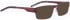 Bellinger SUBWAY-1 sunglasses in Aubergine