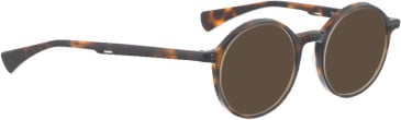 Bellinger SPOT sunglasses in Brown Tortoise