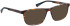 Bellinger RAPTOR sunglasses in Brown