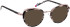 Bellinger QUEEN-1 sunglasses in Matt Rose – Black