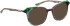 Bellinger PAVO-2 sunglasses in Green